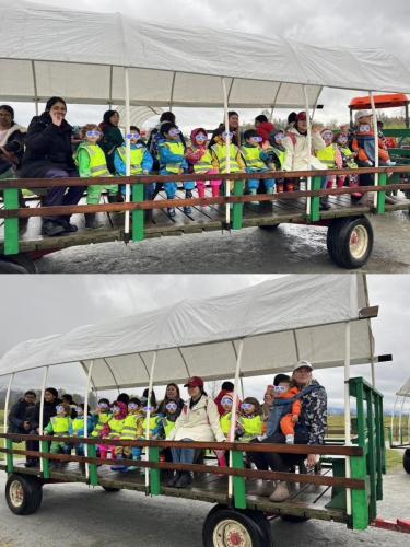 2024-Pumpkin-Patch-Field-Trip 003