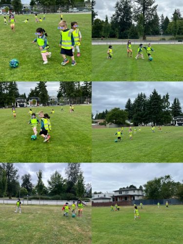 Field-Trip-2025-07-25 001